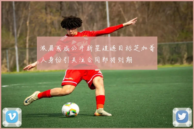 浓眉或成公牛新星追逐目标芝加哥人身份引关注合同即将到期