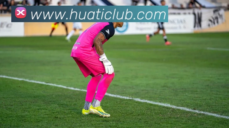 华体会体育全站App